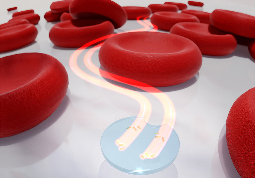Artistic representation of a microdrone with two active light-driven nanomotors between red blood cells. Credit: Thorsten Feichtner/Universit&auml;t W&uuml;rzburg.