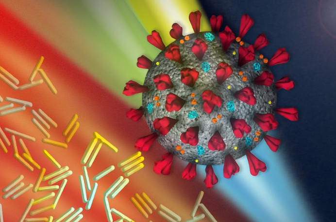 Rapid testing for Covid-19 virus. 