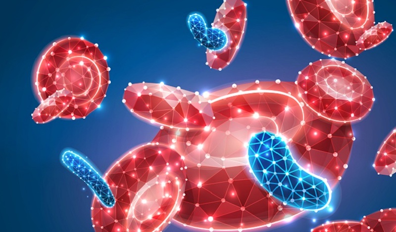 Based on the absorption of light by hemoglobin, optical tools make it possible to detect of biomarkers such as blood oxygenation or blood flow. Credit: Shutterstock via SPIE.