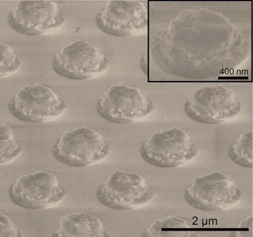 A scanning electron microscope image of an iron pyrite metasurface created at Rice University to test its ability to transcend the Moss rule, which describes a trade-off between a material's optical absorption and how it refracts light. The research shows potential to improve screens for virtual reality and 3D displays along with optical technologies in general. Courtesy of The Naik Lab.