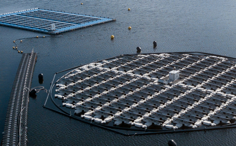 Floating solar renewable electricity platform launched at the start of January. By 2050, 200 gigawatt peak (GWp) of solar power is expected to be generated in the Netherlands, 25 GWp of which will be on inland waters and 45 at sea. Source: TNO Netherlands.