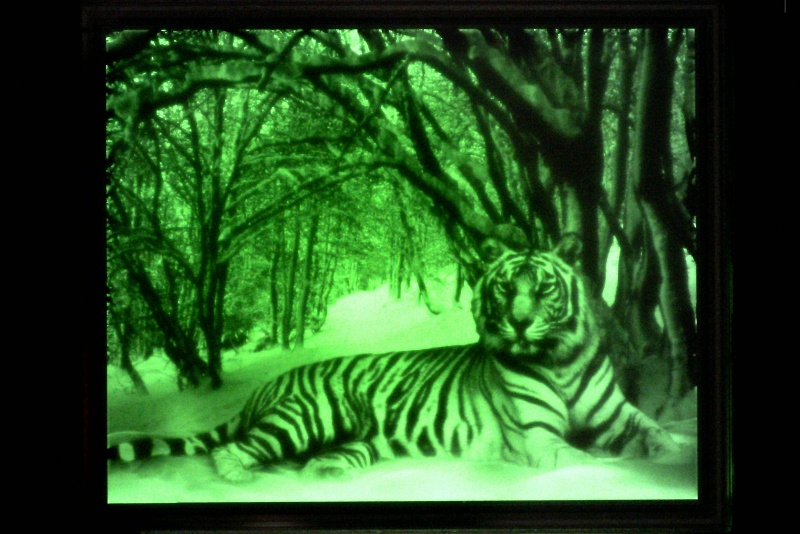 Revealed in 2021, this green high-brightness OLED microdisplay from Kopin showed that the technology was suitable for AR/VR applications. Now the company has spun off a separate entity, Lightning Silicon, to target the AR/VR sector, and agreed a deal with China's Lakeside Lightning Semiconductor to manufacture the technology. Image: Kopin/BusinessWire.