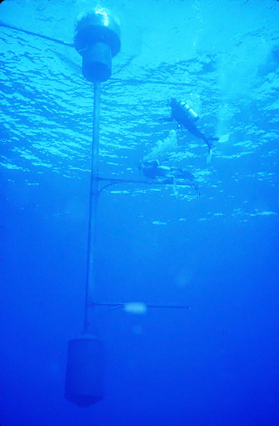 MOBY is an ocean-color sensor that serves as a primary reference instrument for satellite measurements of the color of the ocean. Single-cell plants called phytoplankton contain chlorophyll that reflects the green in sunlight, which gives the ocean color. Researchers can study these measurements to better understand the planet's climate. MOBY received an upgrade as part of the Refresh project that will enable more precise and accurate measurements. Credit: Moss Landing Marine Laboratories, Marine Optical Buoy Project.