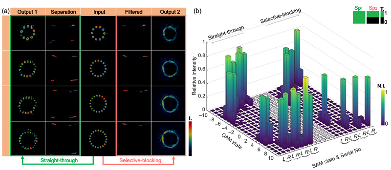 Performance of the system in straight-through and selective-blocking cases when multi-TAM states are incident. (a) Experimental results for incident beams; (b) TAM spectra of the output beams in the above two cases. The output patterns are consistent with the inputs at the straight-through cases. For the selective-blocking cases, the spatial filter placed at the separation plane is presented as Sp2. After blocking, the patterns of these beams convert from a petaloid shape into a doughnut shape. Credit: Li et al., doi 10.1117/1.AP.5.5.056002