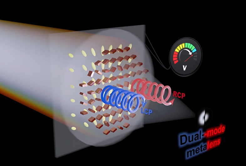 Dual metalens that can dynamically adjust the focal shape in response to changes in the direction of light polarization rotation. Credit: POSTECH.
