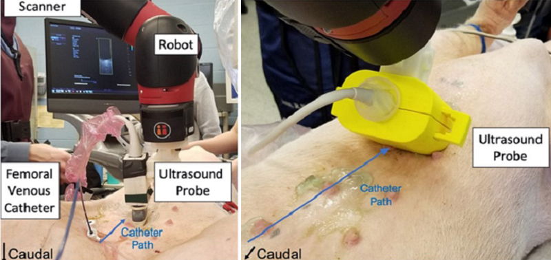A photoacoustic approach to guiding cardiac catheters involves short laser pulses delivered using an optical fiber attached to a catheter, while a special signal transducer picks up the ensuing ultrasound waves generated within the heart. Experiments with live swine demonstrate the potential of combining deep neural networks with photoacoustic imaging. Such models can help robotic arms carefully control the position of cardiac catheters during cardiac interventions. Credit: Gubbi et al., doi 10.1117/1.JBO.29.S1.S11505.