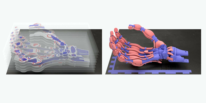 The robotic hand is printed layer by layer using polymers of varying elasticity (left: schematic, right: computer graphics). (Visualisations: Buchner TJK et al., Nature 2023)