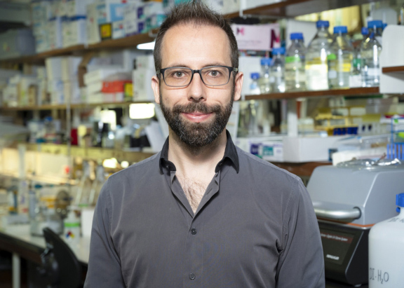 Ricardo Henriques, leader of the Optical Cell Biology research group at the IGC.
