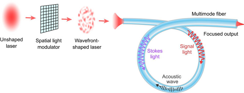 Spatial wavefront of a narrowband laser beam is shaped by a spatial light modulator and excites many modes in a multimode fiber (MMF). Compared to a single-mode fiber and single-mode excitation in the same MMF, the SBS threshold power is greatly increased. Above the threshold, SBS causes a rapid increase in the power of backscattered Stokes light with the input power, while saturating the power of transmitted signal light. Input wavefront shaping modulates relative phases of fiber modes, so that their interference produces a diffraction-limited spot near the fiber output, which can be collimated by a lens.