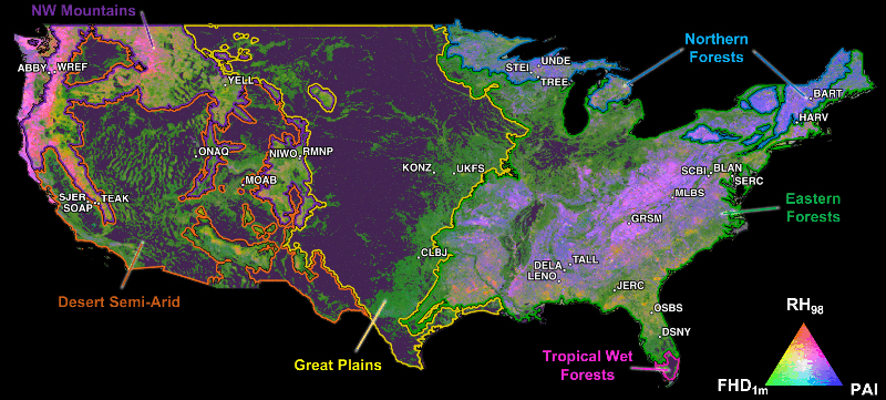 NAU shows how laser-based technologies can mitigate the impact of global biodiversity loss: by monitoring biodiversity across the United States using NASA's GEDI space-borne lidar. Image: NAU / Environmental Research: Ecology (IOP).