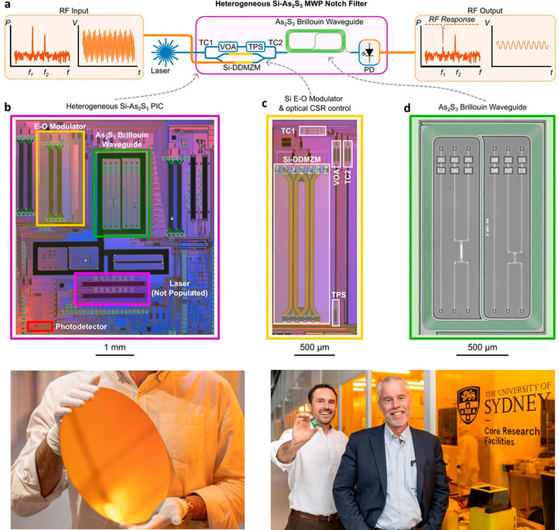 Upper: Heterogeneous integration of As2S3 waveguides and silicon components for an on-chip microwave photonic filter system. Credit: Nature Communications (2023). 

Lower L: Silicon wafer used in chip manufacturing.
Lower R: Dr Alvaro Casas Bedoya, holding the new chip, with Professor Ben Eggleton in the Sydney Nanoscience Hub. Photos: Stefanie Zingsheim.