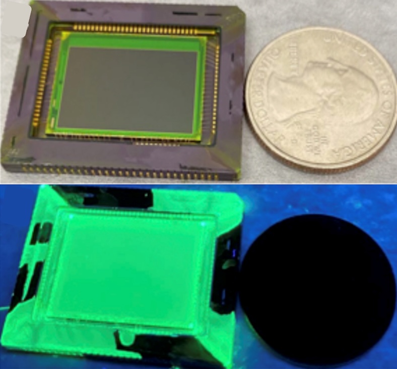 UV imaging sensor compared to a US quarter under white light (top) and under UV light (bottom), green appearance attributed to PNC layer fluorescence. Credit: UIUC.
