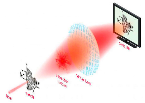 Live-cell imaging will expand Bruker's cell analysis portfolio.