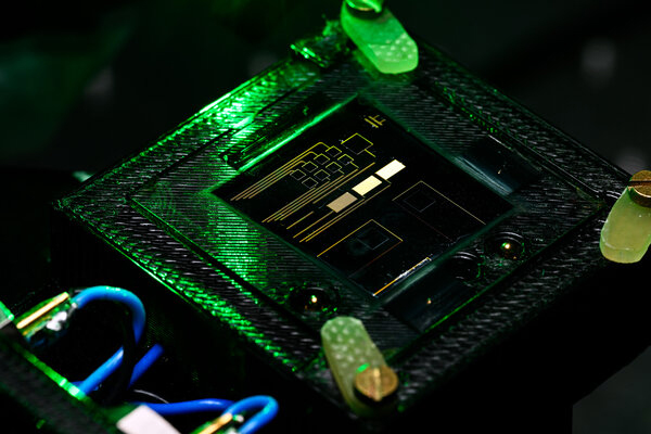The photodiode used in the experiment. Photo: Bart van Overbeeke.