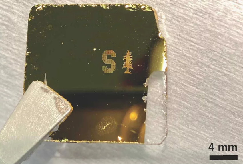 A derivative of the Stanford logo printed from droplets containing bacteria and red blood cells onto a gold-coated slide. Raman spectra from samples prepared in this way reveal the bacteria's presence. Credit: Fareeha Safir/Stanford.