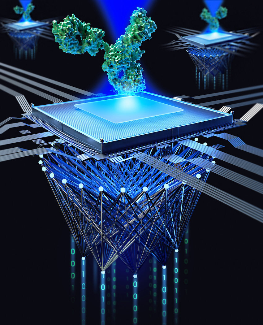 Through a combination of highly advanced microscope technology in iSCAT and multiple machine learning techniques, the team from MPL and FAU continue to push the boundaries of optical sensing. Credit: Mahyar Dahmardeh/MPL.