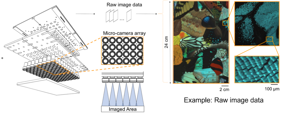 An array of miniaturized digital microscopes acquire synchronized video in parallel. Credit: Duke University.