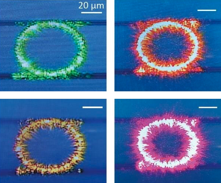 Four nanophotonic resonators, each slightly different in geometry, generates different wavelengths of visible light from the same near-infrared pump laser. Credit: NIST.