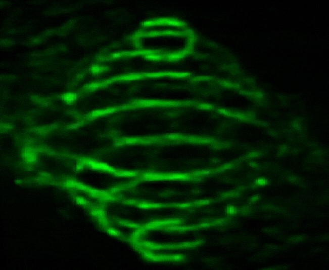 A  3D holographic object created in the lab of Federico Capasso. Image: Harvard SEAS.