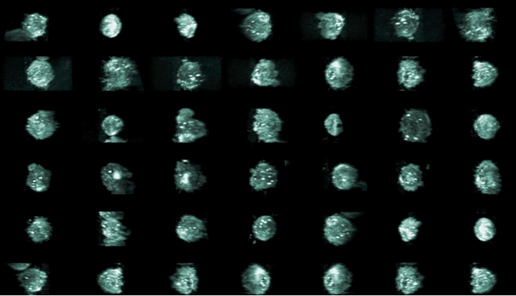 Zomp is combining whole-cell 3D imaging with flow cytometry. Image: Zomp.
