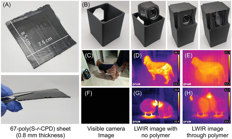 A) Top and side view of 0.8-mm thick 67-poly(S-r-CPD) polymer sheet. B) 3D-printed protective casing for FLIR camera. The 67-poly(S-r-CPD) polymer sheet was used to conceal and protect the front of the FLIR camera. C) Visible image of canine taken with FLIR E6 camera in household lighting. D) LWIR image of canine taken with no polymer sheet. E) Long-wave infrared image of canine taken through 0.8-mm thick 67-poly(S-r-CPD) polymer sheet in household lighting. F) Visible image of chickens taken in low light at night. G) LWIR image of chickens taken in low light at night with no polymer sheet. H) Long-wave infrared image of chickens taken through 0.8-mm thick 67-poly(S-r-CPD) polymer sheet in low light at night. All LWIR images were taken with a FLIR E6 thermal camera over a wavelength range of 7.5-13 &mu;m. Credit: Advanced Optical Materials (2023). 