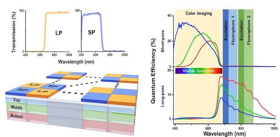 Bioinspired sensor for the endoscopic imaging system includes a pixel array that can capture light on six different spectral channels. Credit: UIUC/Journal of Biomedical Optics