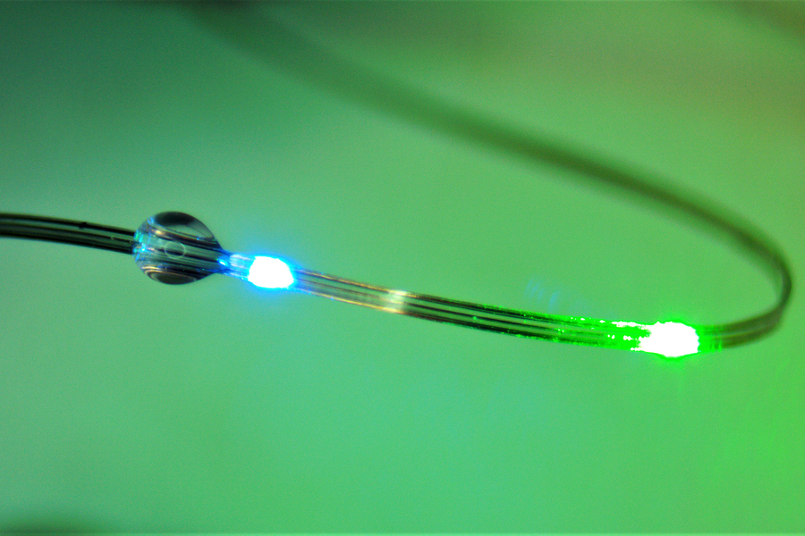 These flexible fibers embedded with sensors and light sources can be used to manipulate and monitor the connections between the brain and the digestive tract. Credit: MIT.