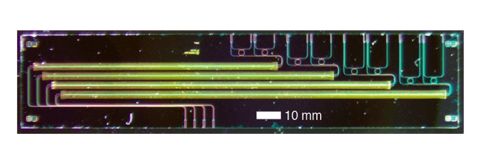 Optical micrograph of the electro-optic isolator chip on thin-film lithium niobate, comprising four devices with varying modulation length. Credit: Loncar Lab/Harvard SEAS.