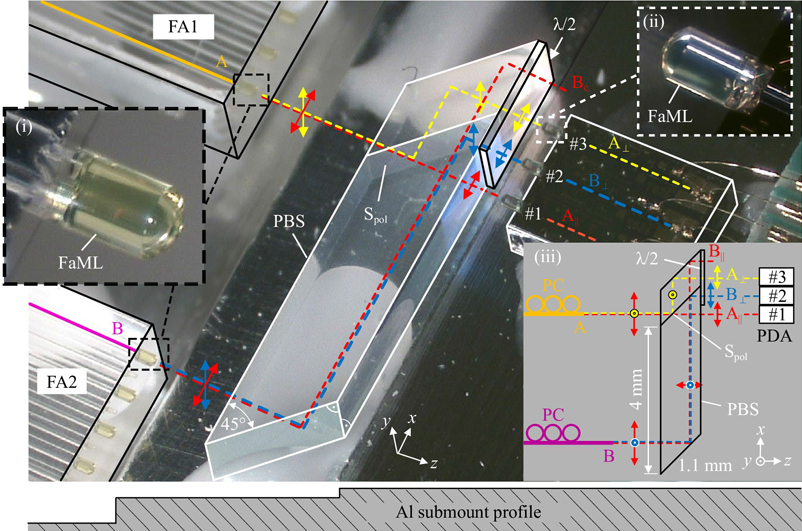 Demonstration of an optical assembly using FaML. Also see Insets (i) and (ii) for a magnified view, including a discrete polarization beam splitter (PBS) in the collimated free-space beam path between a pair of FA and an optical chip with a PDA. The PBS consists of two right-angle glass prisms with a dielectric polarization-sensitive reflecting surface Spol in between. Image courtesy of KIT / Light: Applied Manufacturing.