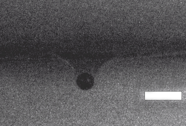 LIPIT uses laser-launched microprojectiles aimed at a thin layer of polymer film. Credit: E. Chan/NIST, modified by B. Hayes / NIST.
