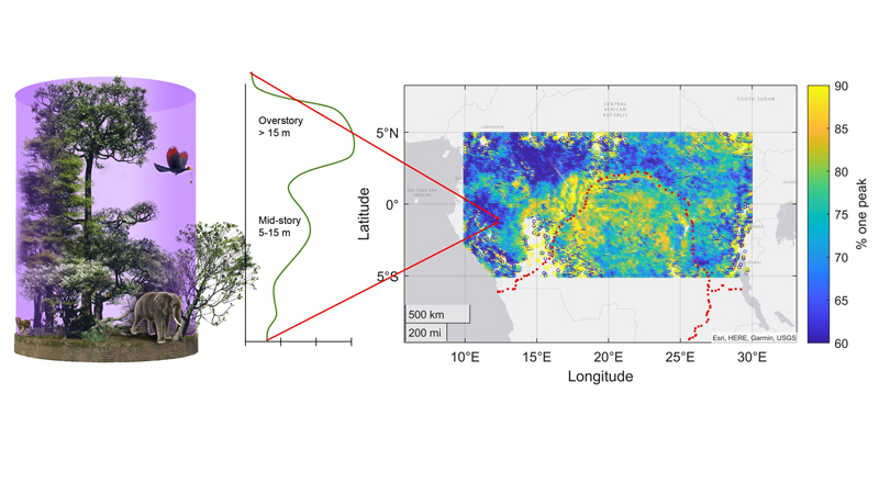 Graph depicting canopy information obtained from GEDI. Credit: Nicolle Fuller and Chris Doughty.