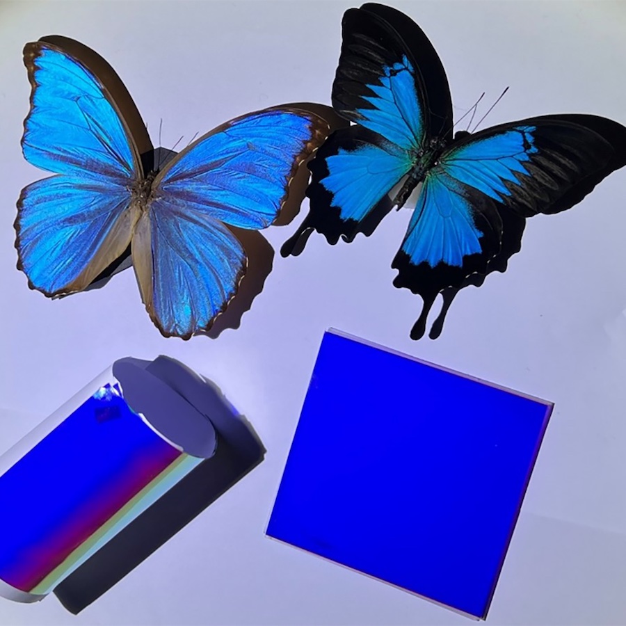 Inspired by the way that the Morpho butterfly creates color, researchers developed colorful cooling films that don't absorb light and thus don't heat up. Credit: Wanlin Wang/Shenzhen University.