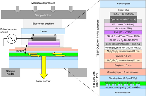 Structure of the electrically driven organic semiconductor laser. a, Chemical structure of TSBF and BBEHP-PPV. b, Cross-section schematic of the electrically driven laser; yellow arrows indicate laser feedback and output. c, Schematic top view; gray arrows indicate lateral paths of injected charges. d, Microscope image of the electrically driven laser. Credit: U. St. Andrews / Nature.