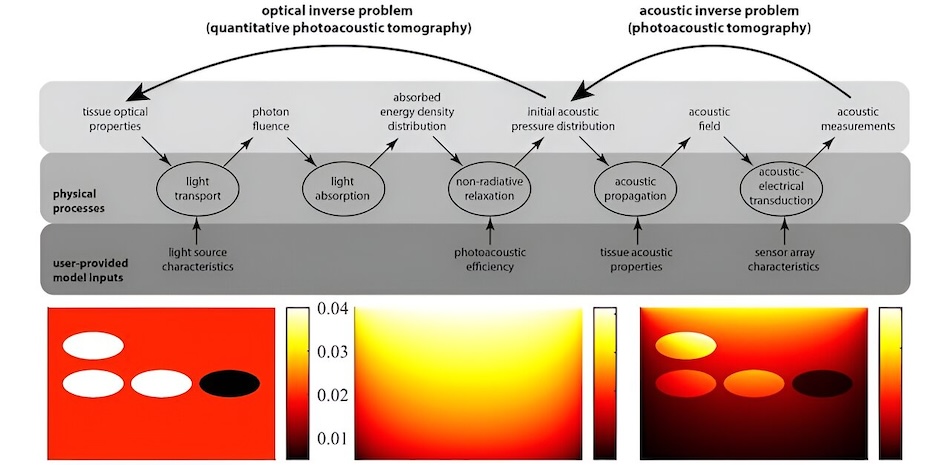 The optical component of quantitative photoacoustic tomography, where optical parameters are estimated from the initial pressure generated by heating and expansion of biological tissues by laser pulses, is the focus of the review. Bottom panel: simulated photoacoustic data (image courtesy of N. H&auml;nninen). Credit: Journal of Biomedical Optics/SPIE.