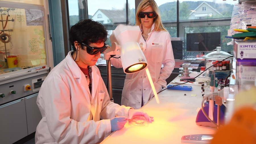Soldering wounds with a nanoparticle paste and light: Oscar Cipolato and Inge Herrmann in Empa's Particles-Biology Interactions laboratory in St. Gallen. Credit: Empa.