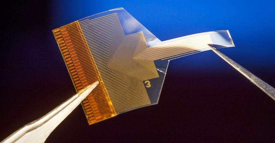 When placed on the surface of the brain, this thin, flexible implant enables researchers to capture high-resolution information about neural activity deep inside the brain without damaging its delicate tissue. Credit: David Baillot/UC San Diego Jacobs School of Engineering.