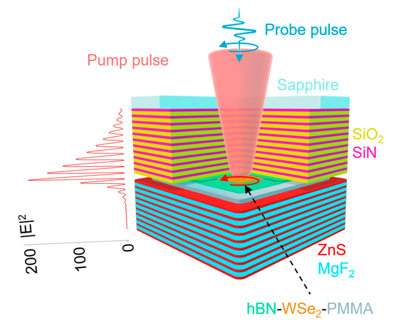 Schematic of the optical cavity with a one molecule thick layer of tungsten diselenide (WSe2) at the antinode, the point where the light field intensity is at its maximum. Credit: Deng Laboratory, Michigan Engineering.