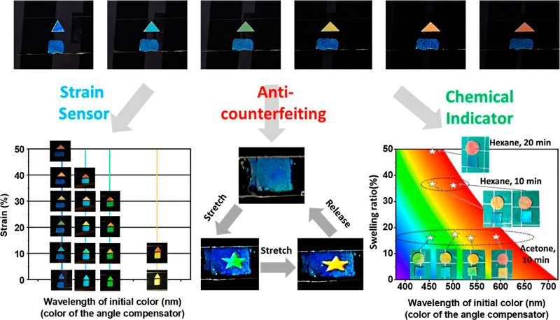 Graphical abstract. Credit: ACS Applied Nano Materials (2024). DOI: 10.1021/acsanm.4c03243