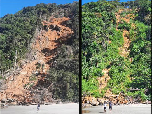 Slide away: Camburizinho Beach at the foot of Morro da Baleia in SÃ£o SebastiÃ£o; field photographs taken in 2023 (left) and 2024. Credit: Carlos Henrique Grohmann.