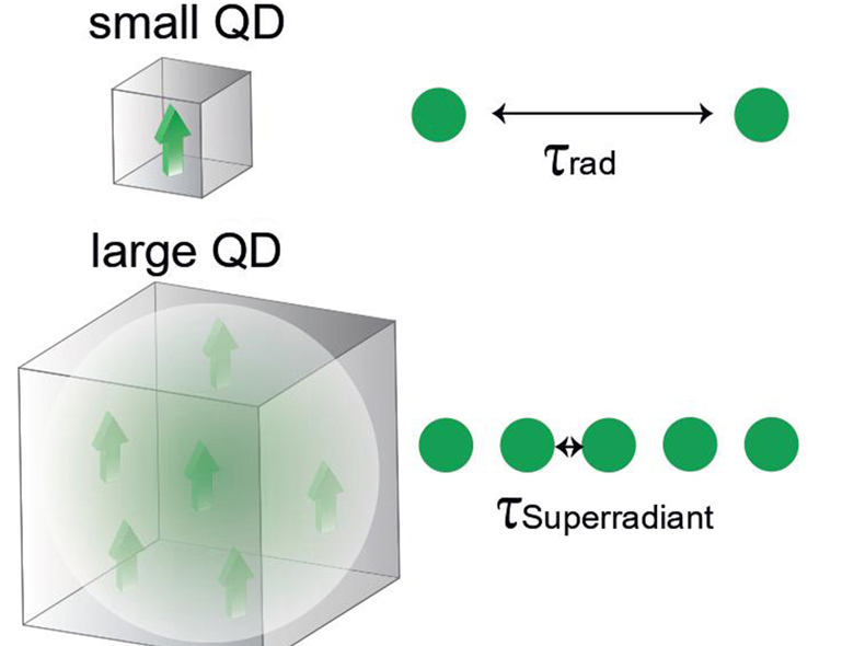 Through quantum mechanical expansion of the exciton, the dipole (arrow) can create several copies of itself. In a larger quantum dot (QD), superradiance then leads to a faster recombination of the exciton and hence to more photons emitted per second. Illustration: Kovalenko Lab.