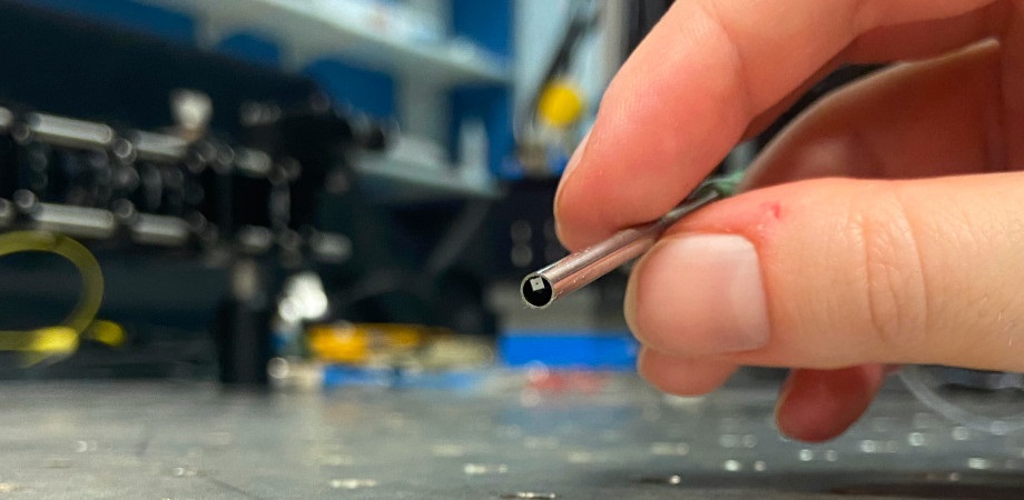 The ultra-miniature SFDI system is designed to be incorporated into colonoscopes. By leveraging the phenomenon of light interference, the endoscopic system can reveal information about the optical properties of tissue under investigation. In this photo, Dr. Jane Crowley holds a prototype device, in which the 3-mm diameter fiber tip encases the ultra-miniature camera. Credit: J. Crowley/University of Nottingham.