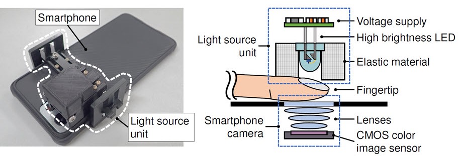 Using commercial visible and near-infrared sensors, such as those in smartphones and smartwatches, it is possible to estimate blood glucose levels non-invasively based on the asynchronicity between oxyhemoglobin and deoxyhemoglobin oscillations. Credit: Hamamatsu Photonics. 