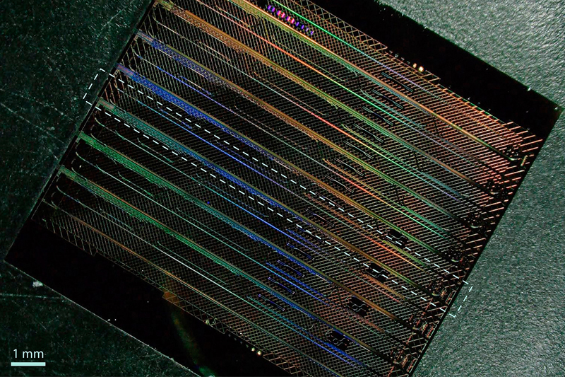 A microscope image showing a thin-film lithium niobate chip that contains eight of the new 