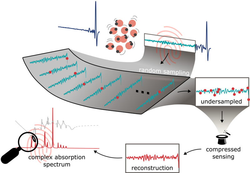 Visual summary of compressed sensing of field-resolved molecular fingerprints.(Reprint: DOI: 10.34133/ultrafastscience.006, &copy; Hanieh Fattahi, MPL)