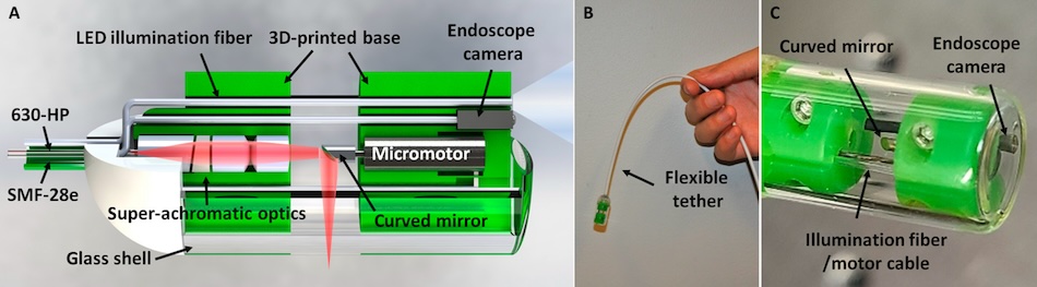(A) Schematic illustration of the MAGIC. Two single-mode fibers for the dual-wavelength OCT imaging and laser ablation and the endoscope camera with an LED illumination fiber were all integrated inside a single device with an 11-mm diameter and a 26-mm length. (B and C) Photographs of the assembled MAGIC with a flexible tether. Credit: Johns Hopkins University.