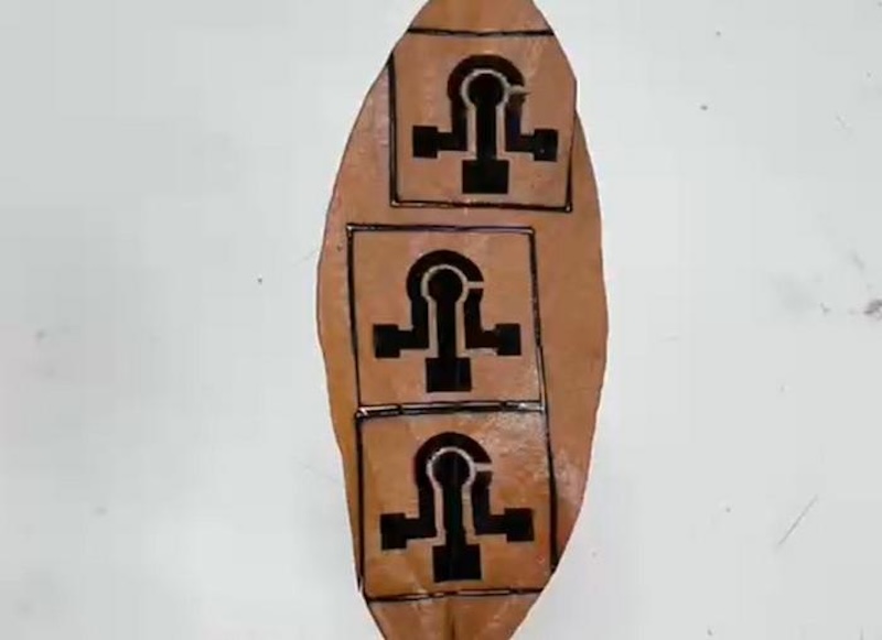 A sensor pattern printed on a leaf by laser. Credit: Bruno Janegitz/Universidade Federal de S&atilde;o Carlos.