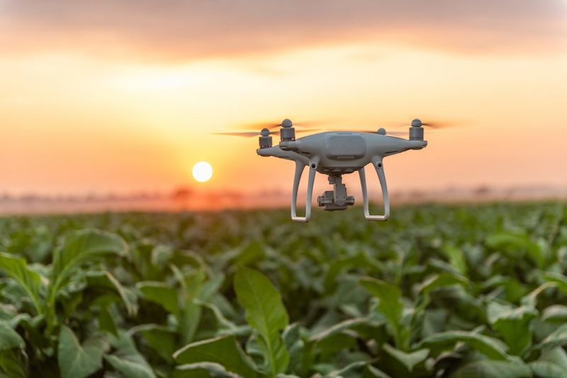 Lidar and other instruments mounted on drones allow farmers to monitor the health of their crops more efficiently. Credit: stock photo via Aston University.