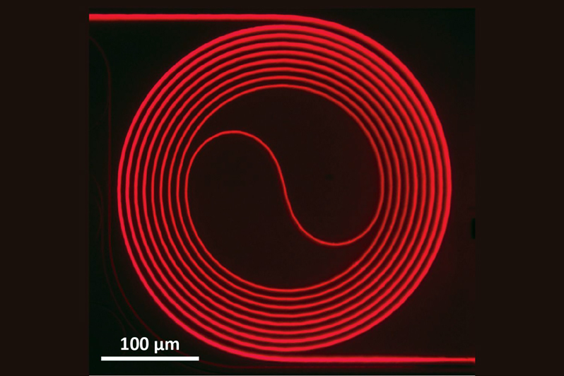 Image of the Ti:sapphire waveguide amplifier. This one fits in a 0.5 mm square. Credit: Yang et al., Nature.