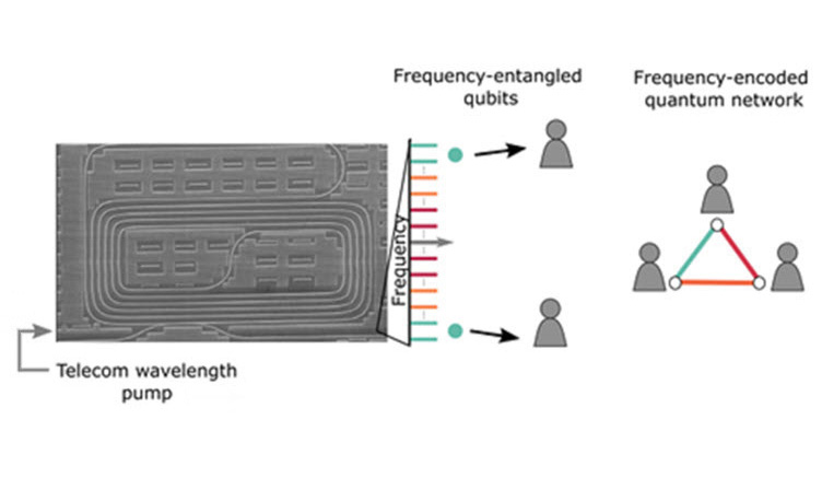 A silicon microresonator (left, SEM image) provides a parametric broadband source for frequency-entangled photon pairs 21 GHz apart to achieve frequency-encoded large-scale quantum networks. The result is a trusted-node-free, fully-connected network where users are linked by a two-qubit frequency-entangled state Credit: Henry et al., doi 10.1117/1.AP.6.3.036003.