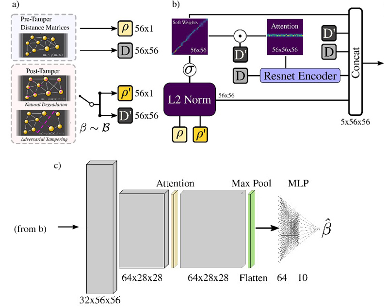 RAPTOR uses an attention mechanism for prioritizing nanoparticle correlations across pre-tamper and post-tamper samples before passing them into a residual, attention-based deep convolutional classifier. a) RAPTOR takes the top 56 nanoparticles in descending order of radii to construct the distance matrices D and D' and radii &rho; and &rho;' from the pre-tamper and post-tamper samples. b) The radii and distance matrices form the query and value embeddings of an attention mechanism. The attention mechanism is then used alongside the raw distance matrices D' and D, the softweight matrix, and L2 matrix generated from the radii vectors for the classifier. c) The classifier uses GELU activation and attention layers before applying a kernel layer and max pool layer. Then, the output is flattened into a multi-layer perceptron to compute the final classification. Credit: Wilson et al., doi 10.1117/1.AP.6.5.056002